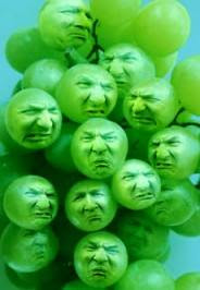 sour-grapes.jpg
