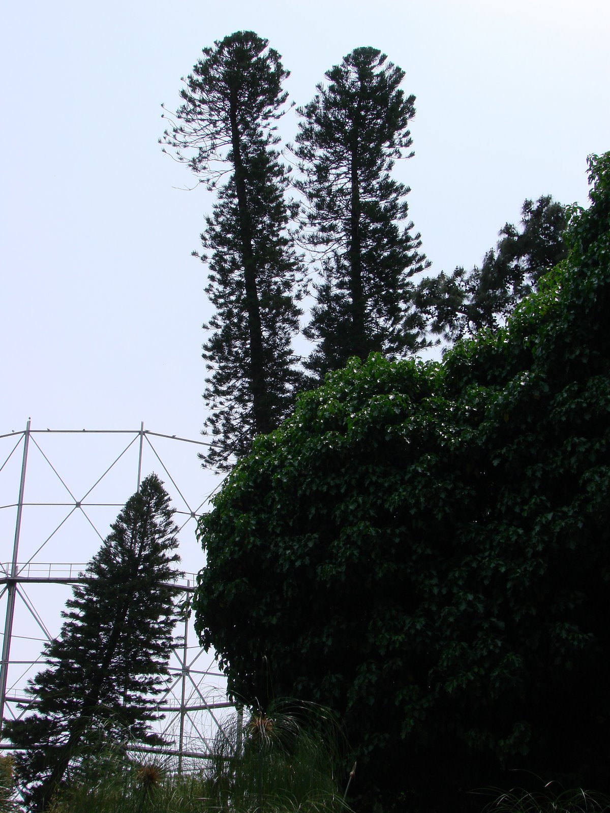 [DSC07585.JPG]