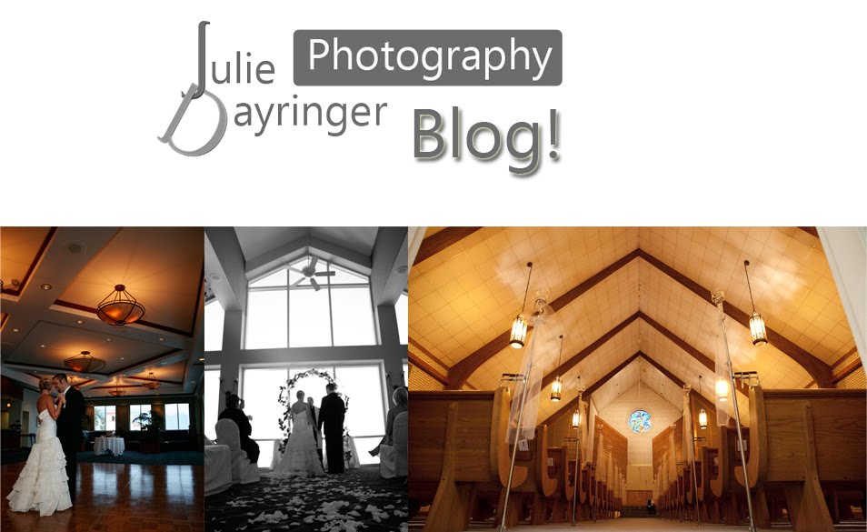 Julie Dayringer Photography's Blog