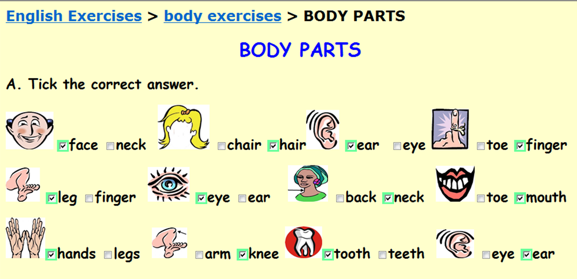 Exercises for specific body parts