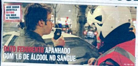 [Gato+Fedorento+alcool.jpg]