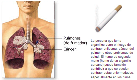 Quem deixou de fumar em uma dieta