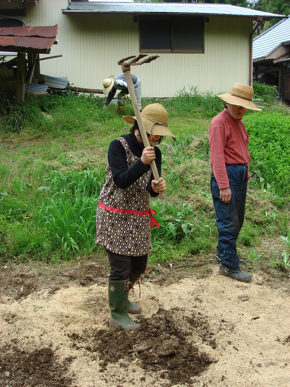 [DSC01596.JPG]