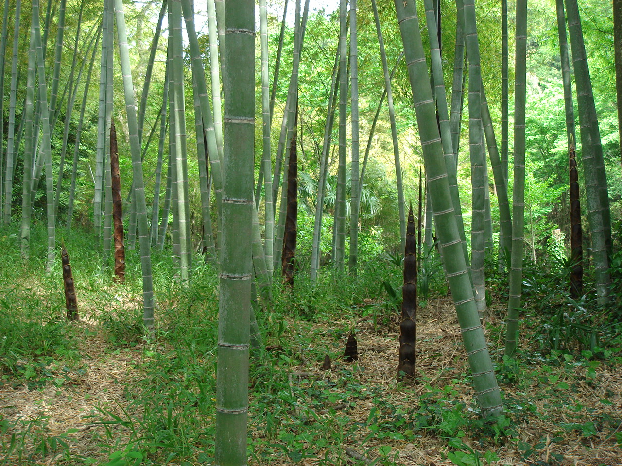 [DSC01692.JPG]