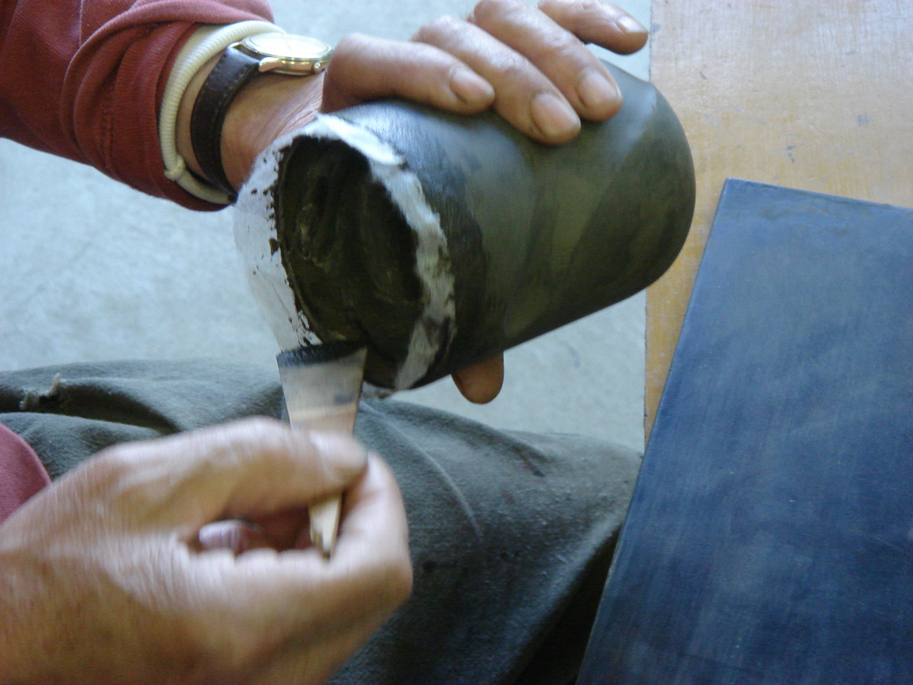 [DSC01777.JPG]