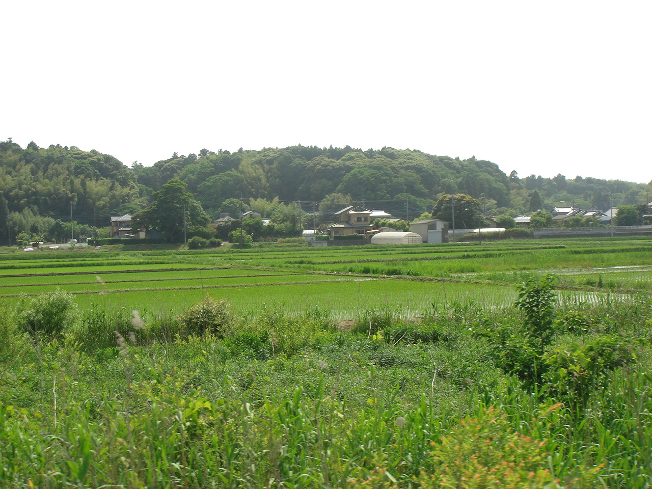 [DSC01971.JPG]