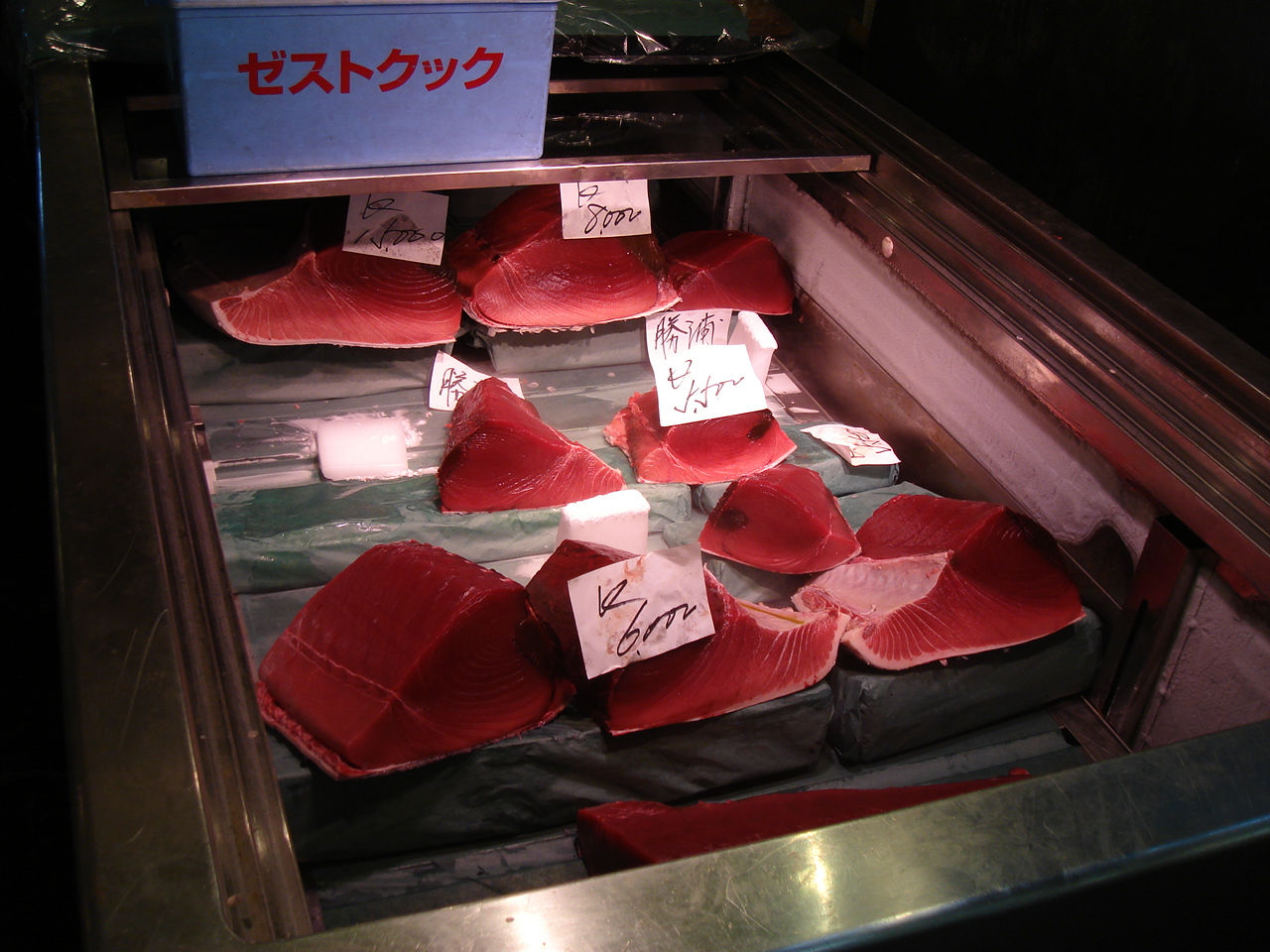 [DSC01823.JPG]