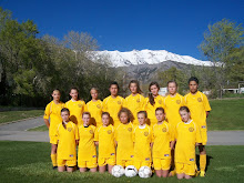 2010 Team