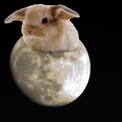 ¿Que le regalarías al de arriba?  Conejo+Lunar