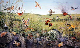 Project Prairie Wild