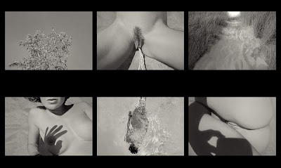 Descubriendo (yo) a Pierre Radisic 7 Descubriendo (yo) a Pierre Radisic - Roser Amills, escritora mallorquina