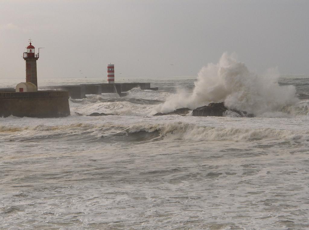 [HPIM4584_Medium.JPG]