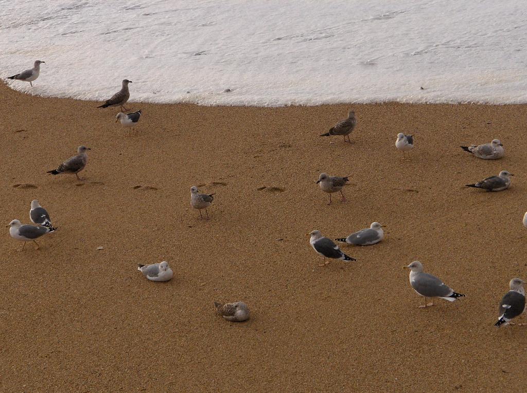 [HPIM4589_Medium.JPG]