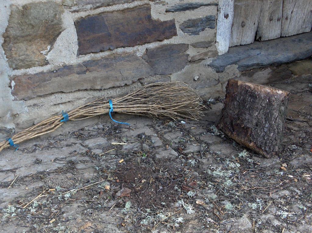 [HPIM9153_Medium.JPG]