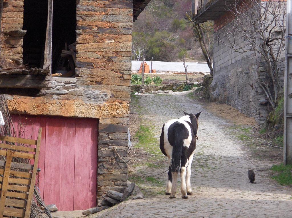 [HPIM9129_Medium.JPG]