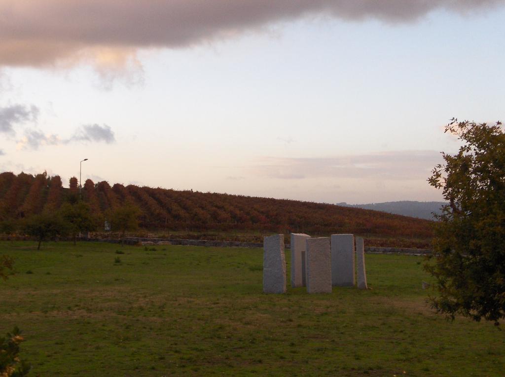 [HPIM4065_Medium.JPG]