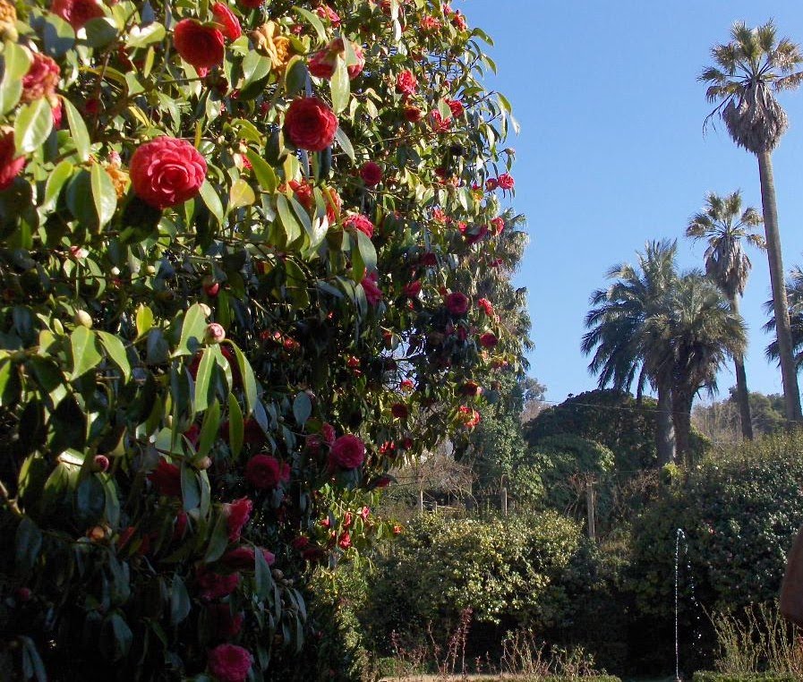 [HPIM8907_Medium.JPG]