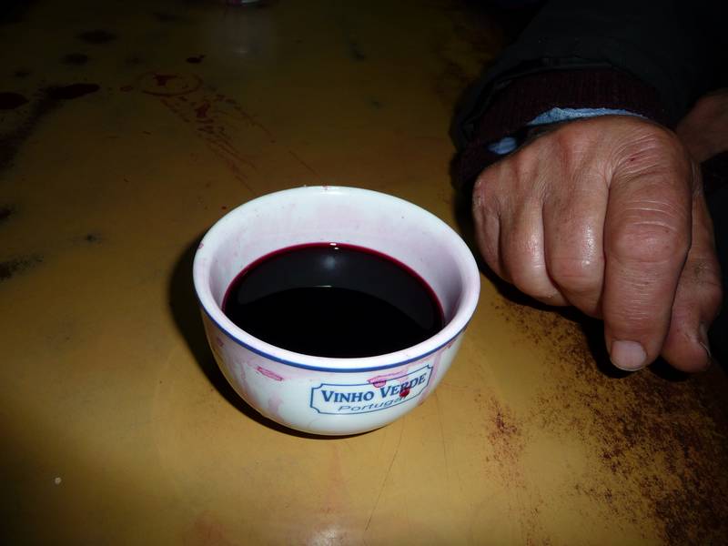 [P1010286+(Medium).JPG]