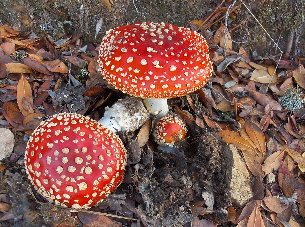 [HPIM4223_Medium.JPG]