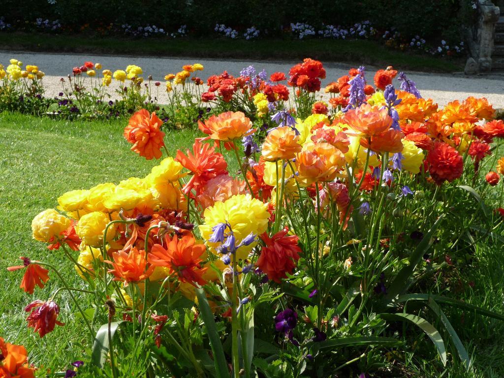 [P1020372_Medium_Medium.JPG]