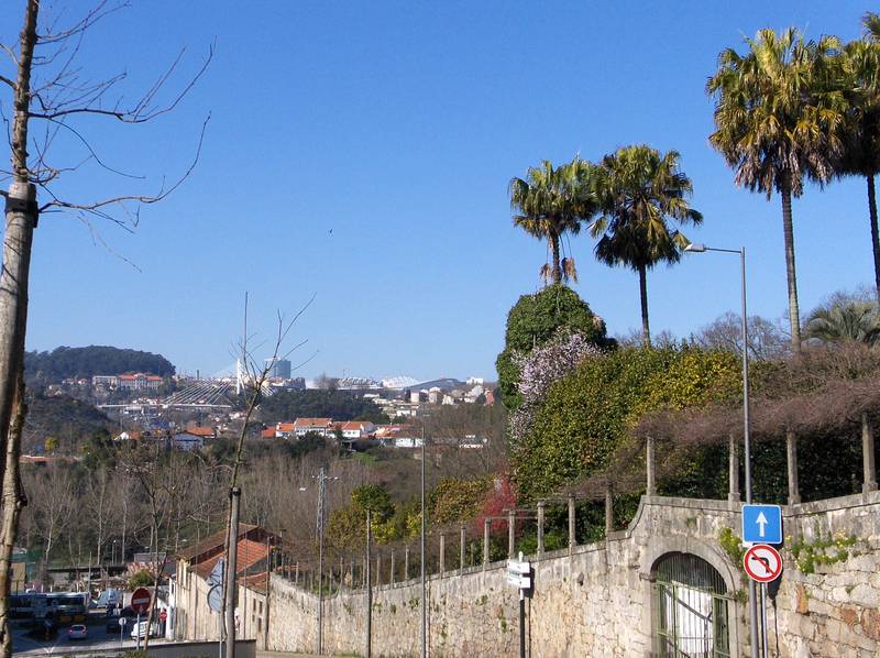 [HPIM8796+(Medium).JPG]