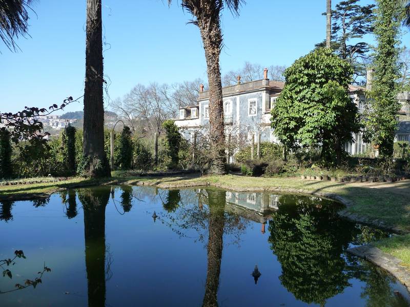 [P1010114+(Medium).JPG]