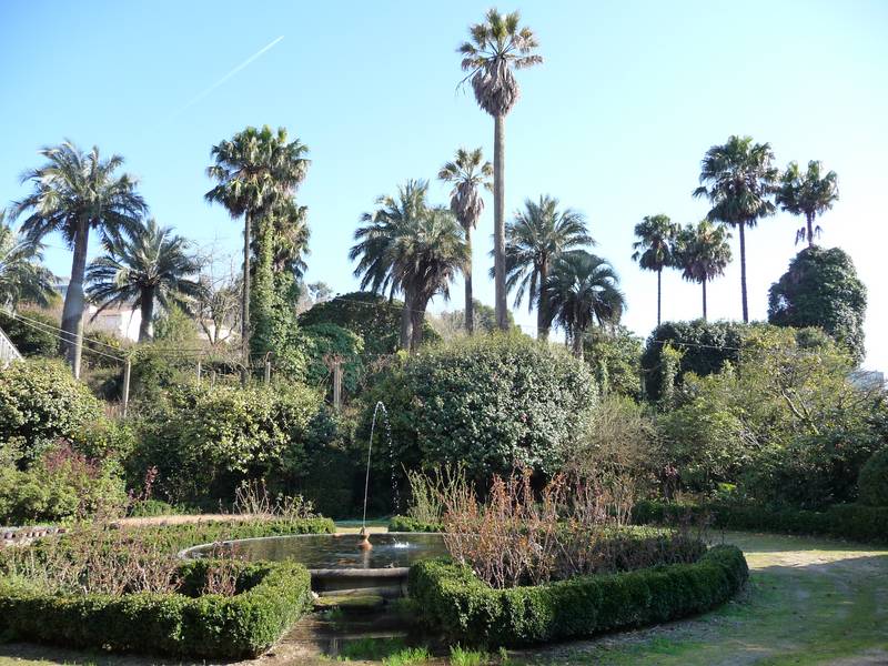 [P1010175+(Medium).JPG]