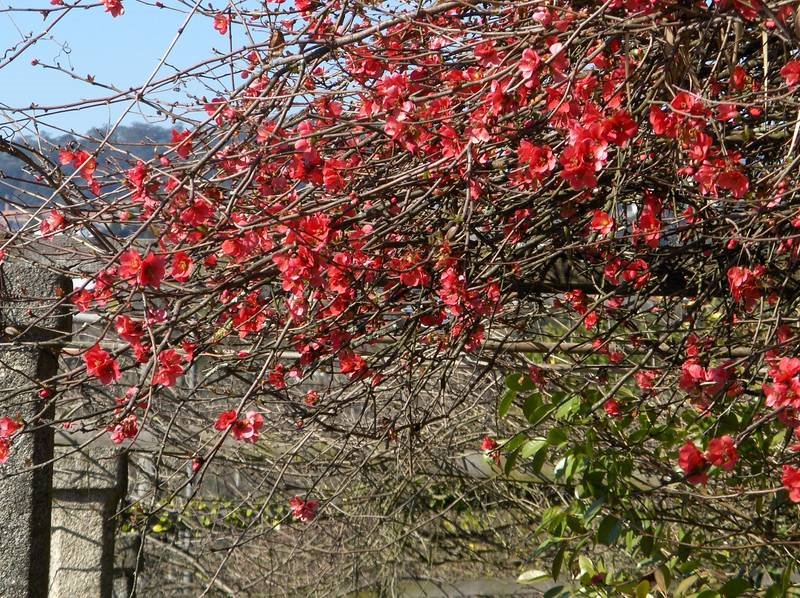 [HPIM8804+(Medium).JPG]