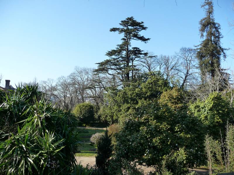 [P1010190+(Medium).JPG]