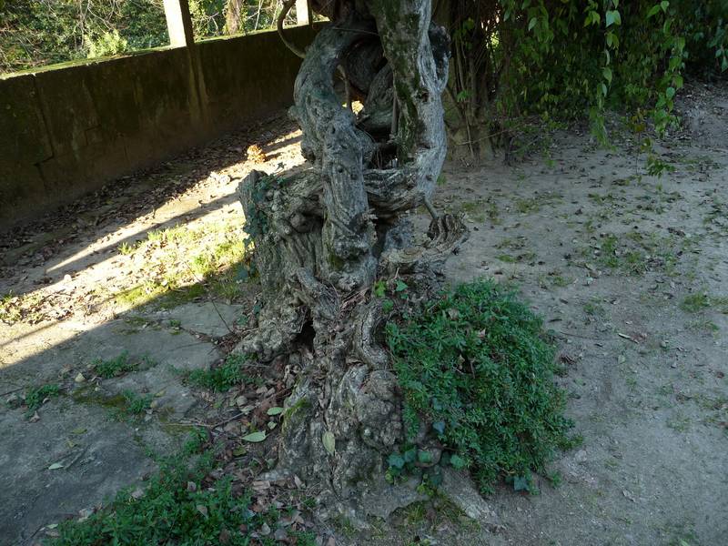 [P1010214+(Medium).JPG]