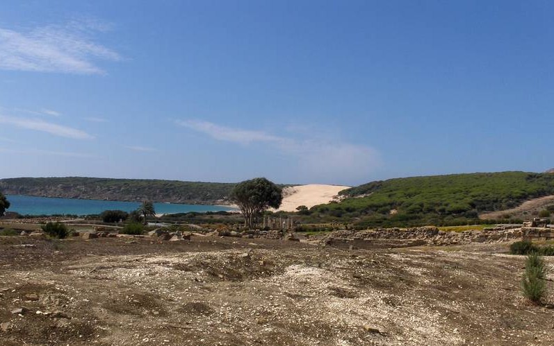 [HPIM6467+(Medium).JPG]