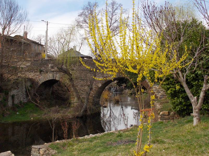 [HPIM9151+(Medium).JPG]