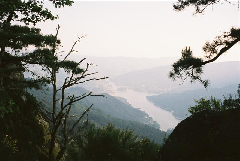 [F1000031+(Medium).JPG]