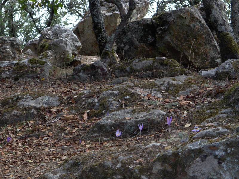 [HPIM7797+(Medium).JPG]