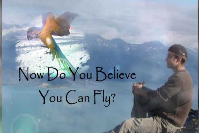 NOW DO YOU BELIEVE YOU CAN FLY