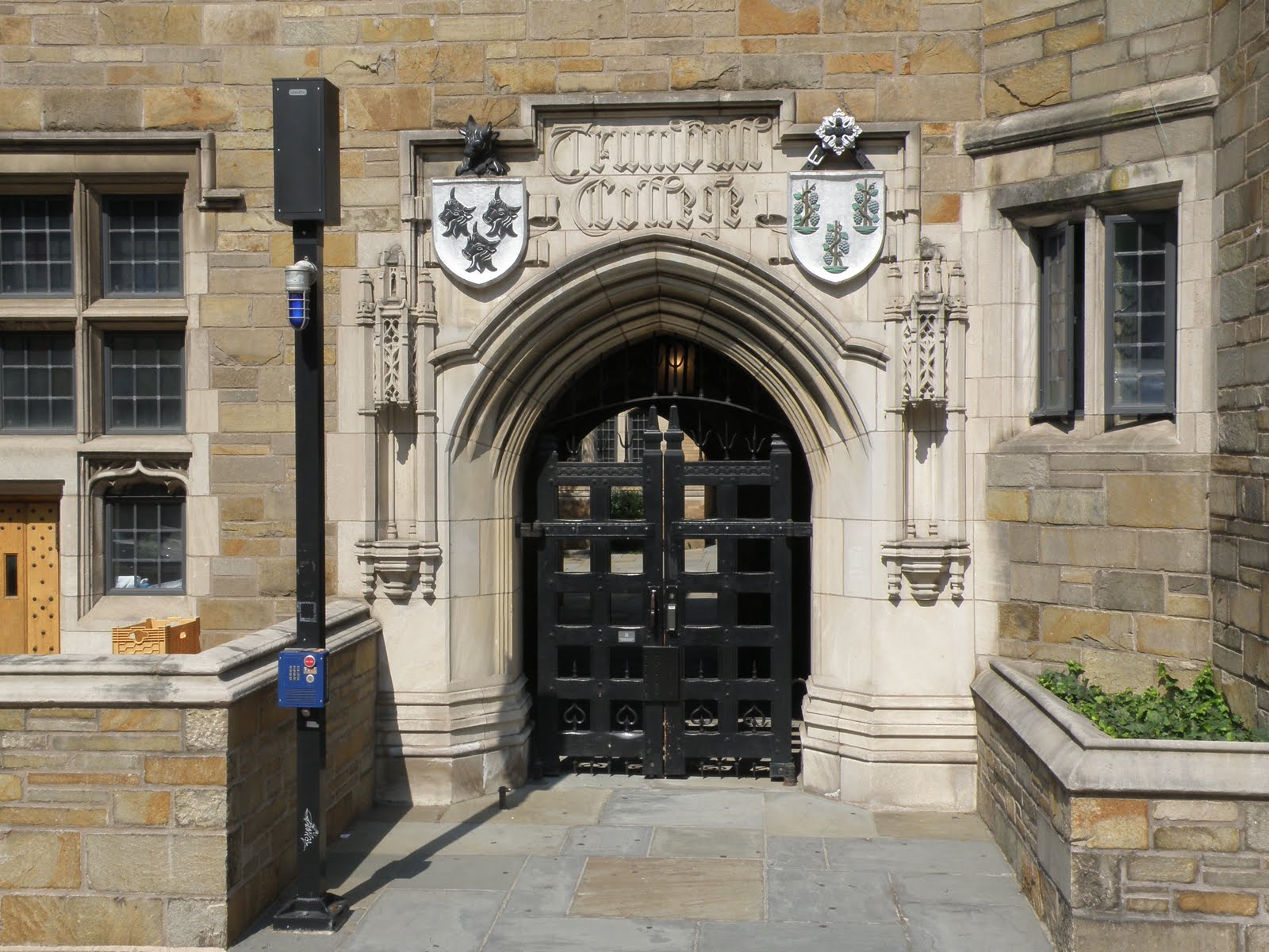 Once upon a Leaf Downtown Yale University Campus