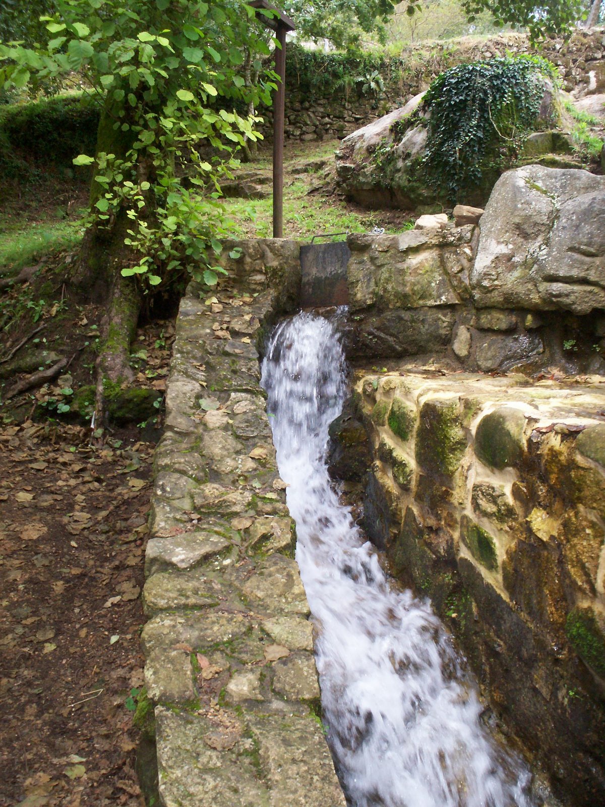 [100_0957Cruz+Martinez.JPG]