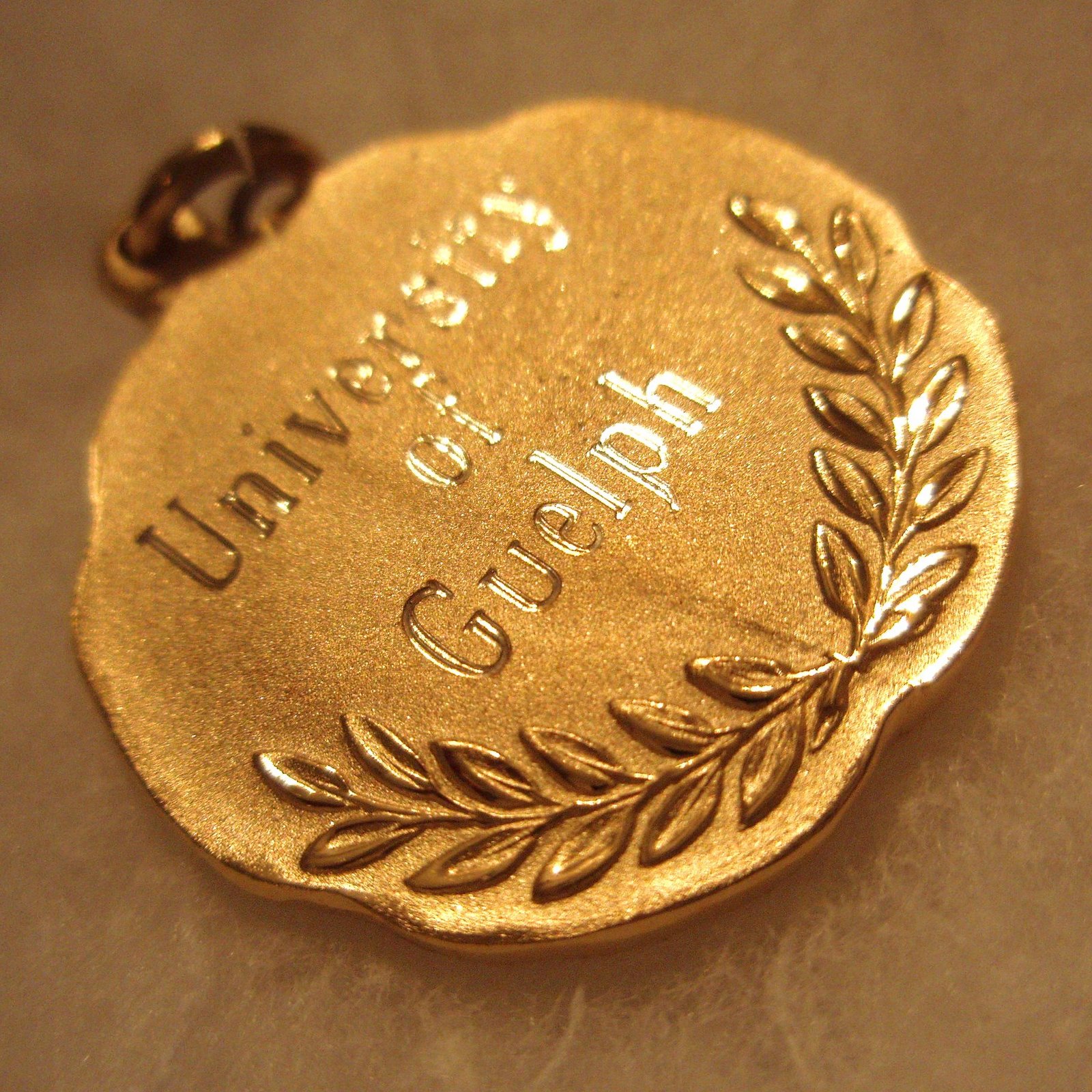[medal.JPG]