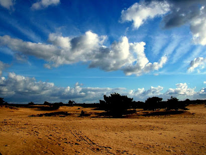 kale duinen