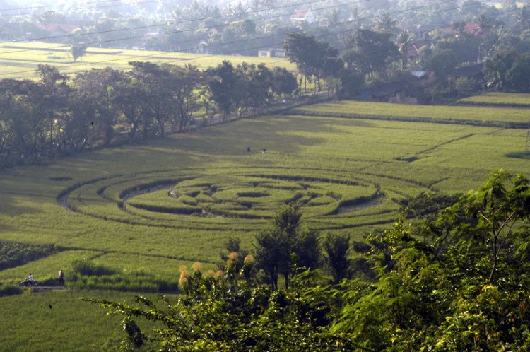Beautiful Crop Circles