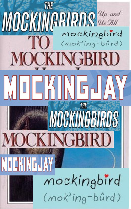 The (Mis)Adventures of Michele: Teachings, Readings, and Writing