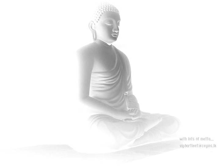 Hire4rlogic LORD BUDDHA Hire4rlogic LORD BUDDHA