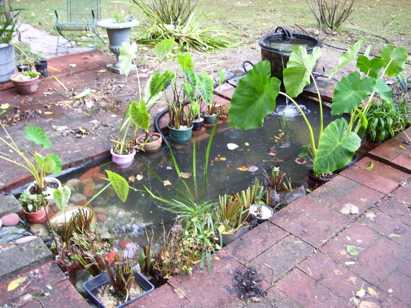 pond-plan.jpg