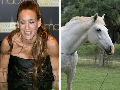 Funny - Similarity Between Celebrities And Animals