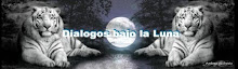 Dialogos Bajo la Luna