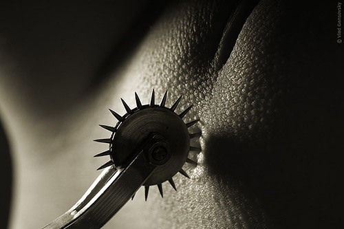[img813.jpg]