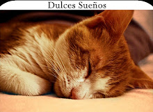 Dulces sueños...