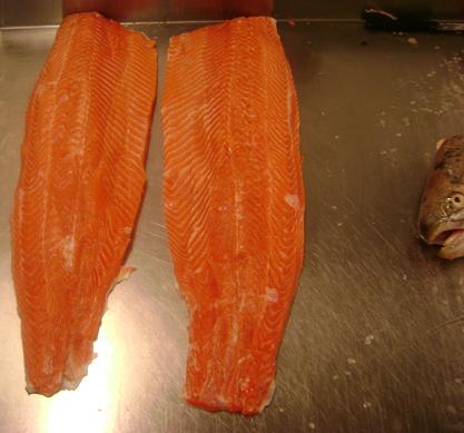 [Trout+filleted.JPG]