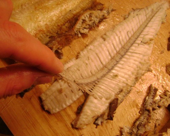 [sole+-+boning+#2.JPG]