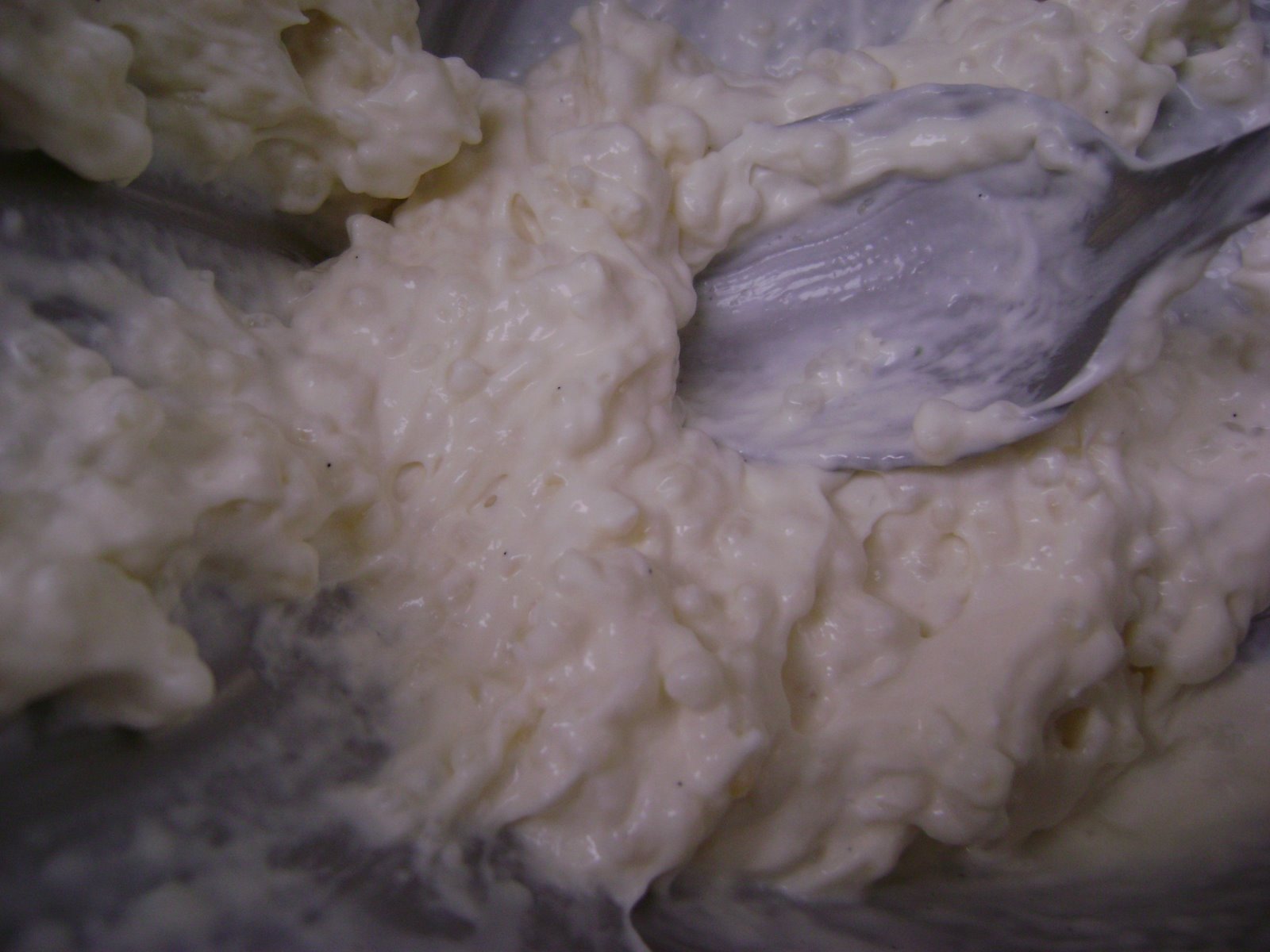 [Left+over+tapioca.JPG]